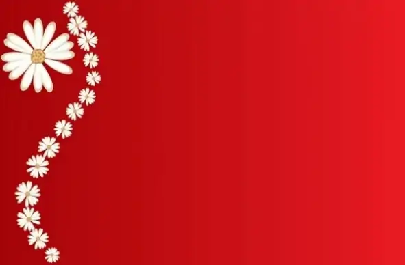 daisies on red background
