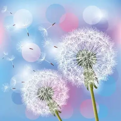 dandelion design elements vector