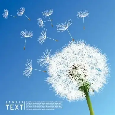dandelion background flying objects elegant modern realistic design