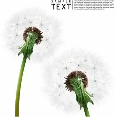 dandelion background colorful realistic design