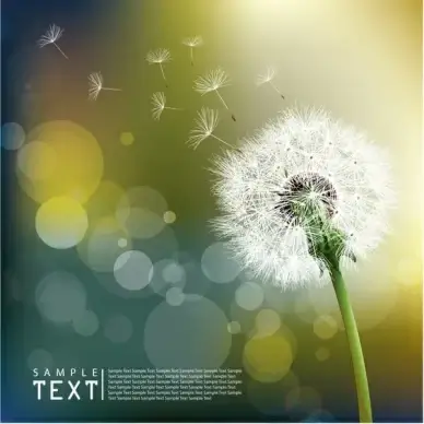 dandelion background realistic botany icon bokeh decor