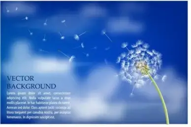 dandelion with flying seeds on cloudy sky