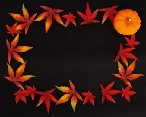 dark autumn frame