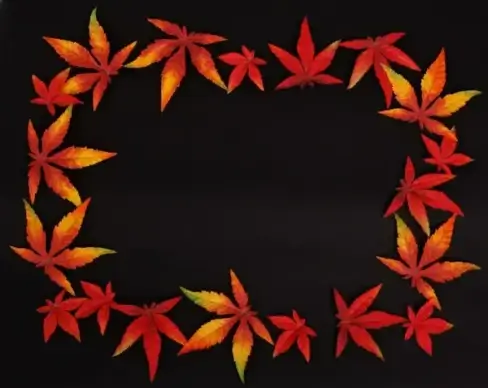 dark autumn leaf frame