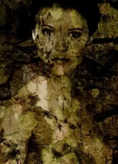 dark lady shadow