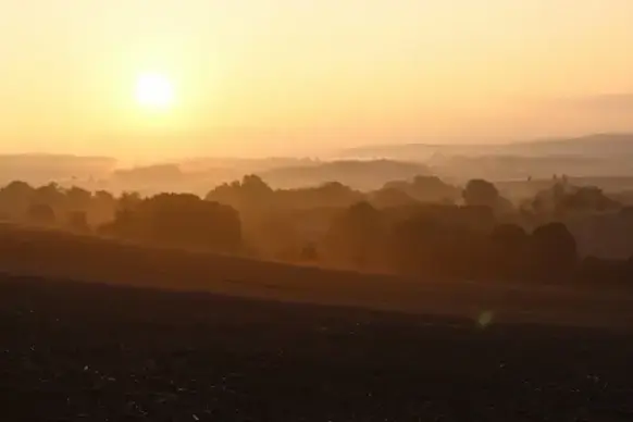 dawn dusk evening fog forest haze landscape light