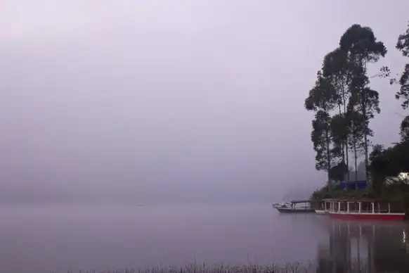 dawn dusk evening fog lake landscape light mist