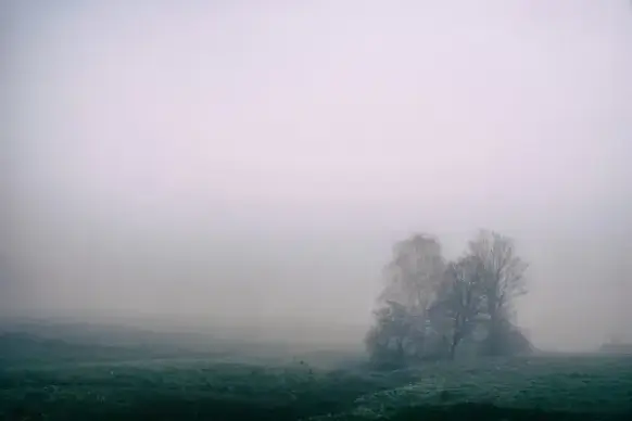 dawn fall fog forest haze lake landscape light