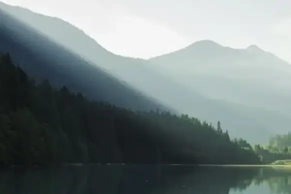 dawn fog forest haze landscape mist morning