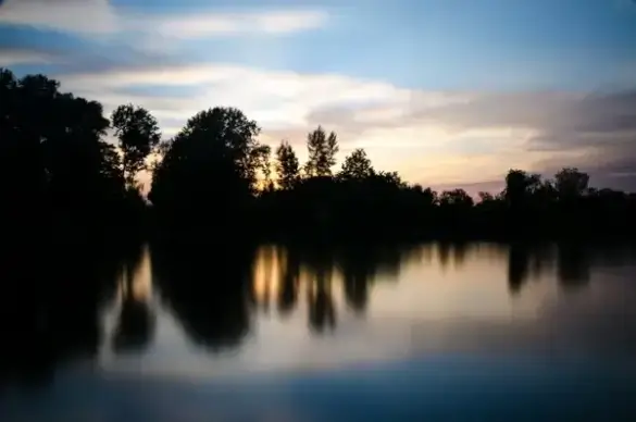 dawn forest lake landscape mirror moon morning