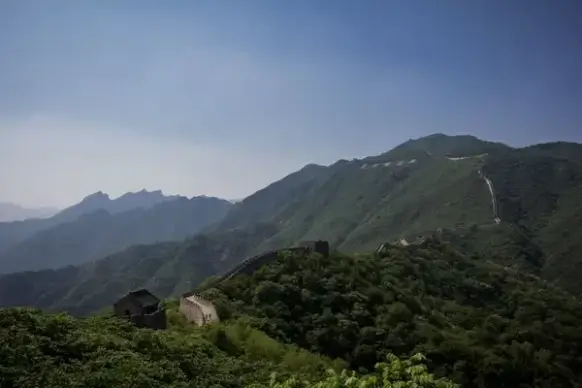 daytime fog forest hill landscape lush mountain