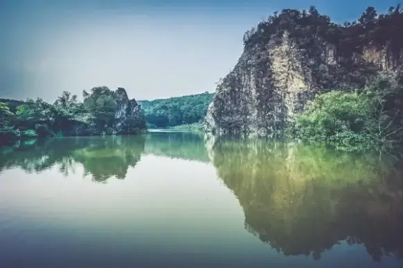 daytime forest idyllic lake landscape mirror nature