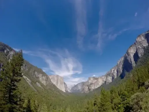 daytime forest idyllic landscape majestic mountain