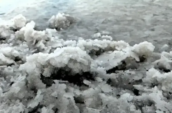 dead sea