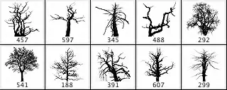 Dead Trees