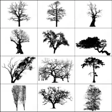 dead trees brush