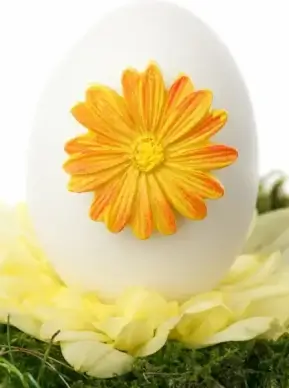 decorated easter egg