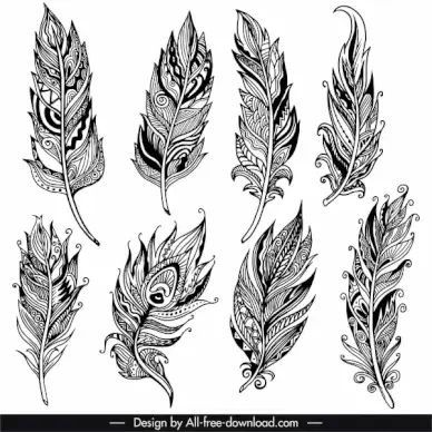 decorative feather icons retro tribal decor handdrawn sketch