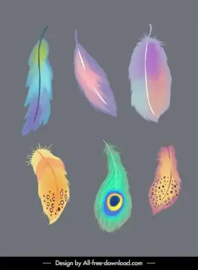 decorative feathers icons colorful retro handdrawn