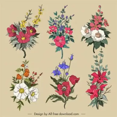 decorative flowers icons colorful classic design