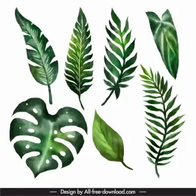 decorative leaf icons green classic handdrawn outline