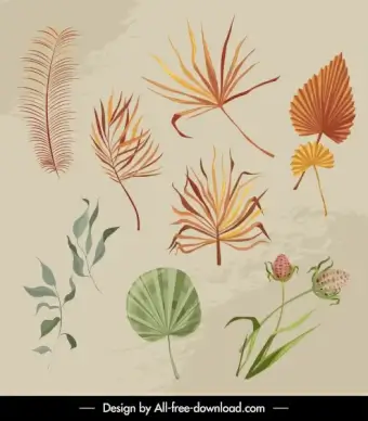 decorative nature elements retro leaf flowers sketch