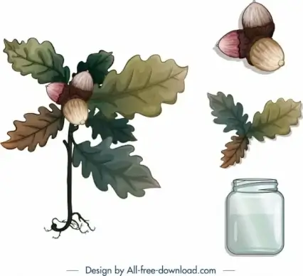 decorative plants icons leaf chestnut jar sketch