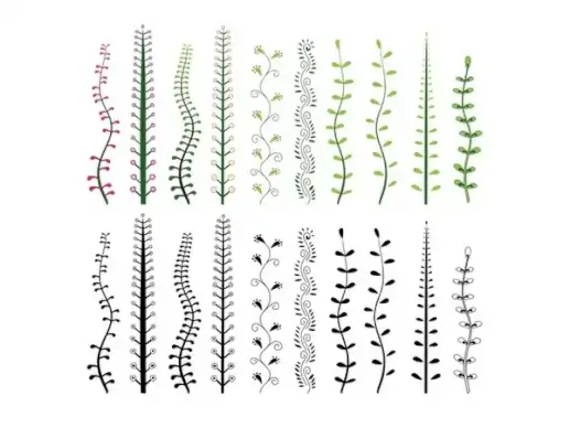 decorative plants vector illustration with simple style