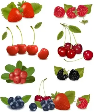 delicious fruit 01 vector
