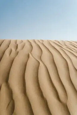 desert scene picture elegant bright 