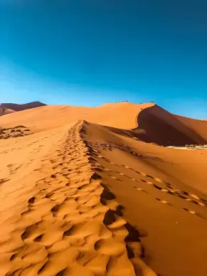 desert scenery picture elegant bright 