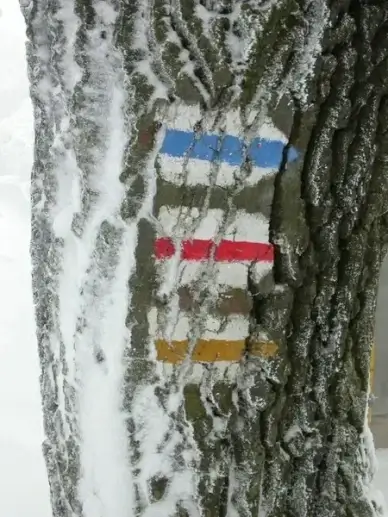 directory winter snow