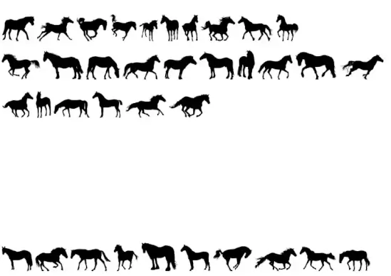 DJ Horses 1