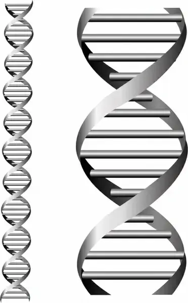 DNA