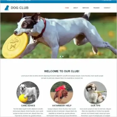 dog club template