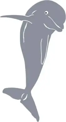 Dolphin Jumping, Front