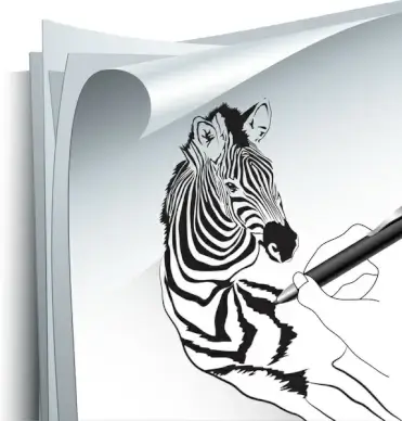 drawing zebra