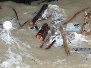 drift wood flotsam and jetsam garbage