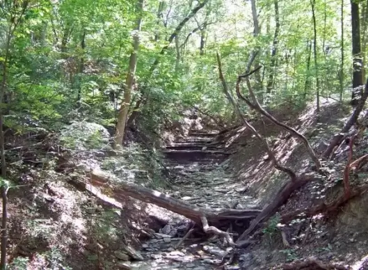 dry creek bed