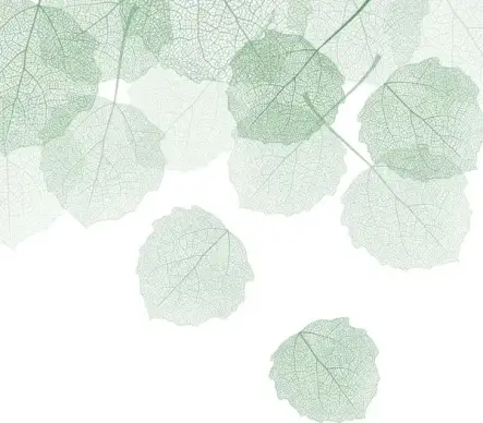 dry leaf background