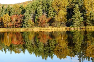 dsc00821b autumn reflections