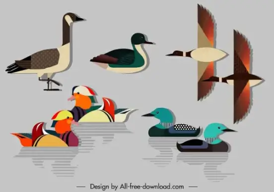 duck species icons colorful flat modern sketch
