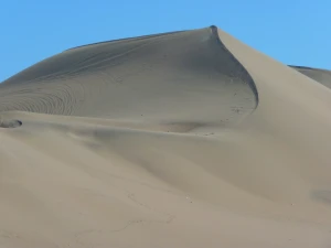 dune desert dry