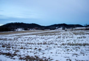 dusk winter landscape with an overcast sky in wisconsin