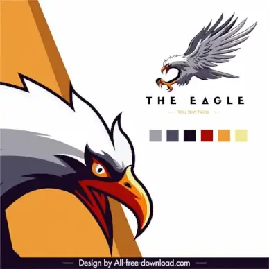 eagle advertising background colorful flat dynamic sketch