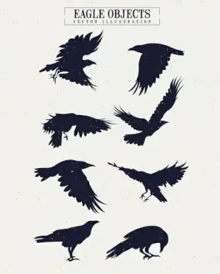 eagle icons collection silhouette design