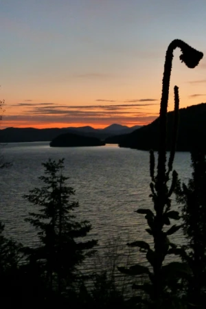 early morning sunrise canim lake