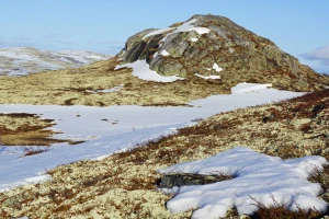 early spring dagalifjell