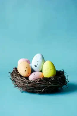 easter backdrop picture cute elegant eggs nest decor
