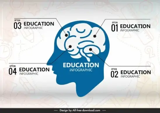 education infographic template head brain sketch flat design